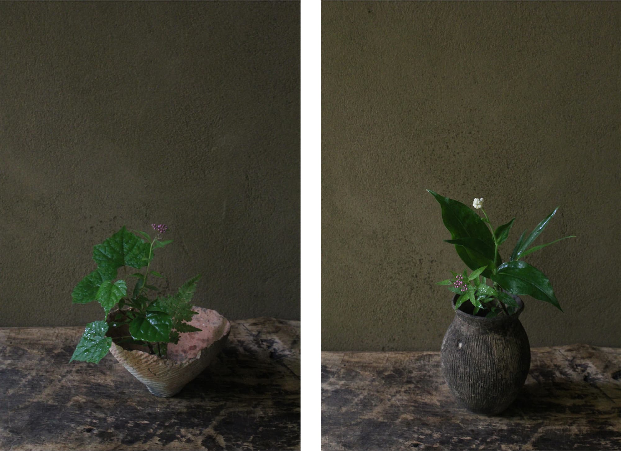 花人・坂村岳志のいける生け花。左：その季々に美しいと感じたものをその姿のままにいける。　右：季節を感じ、その空間に必要とされている花や緑をいけていく。