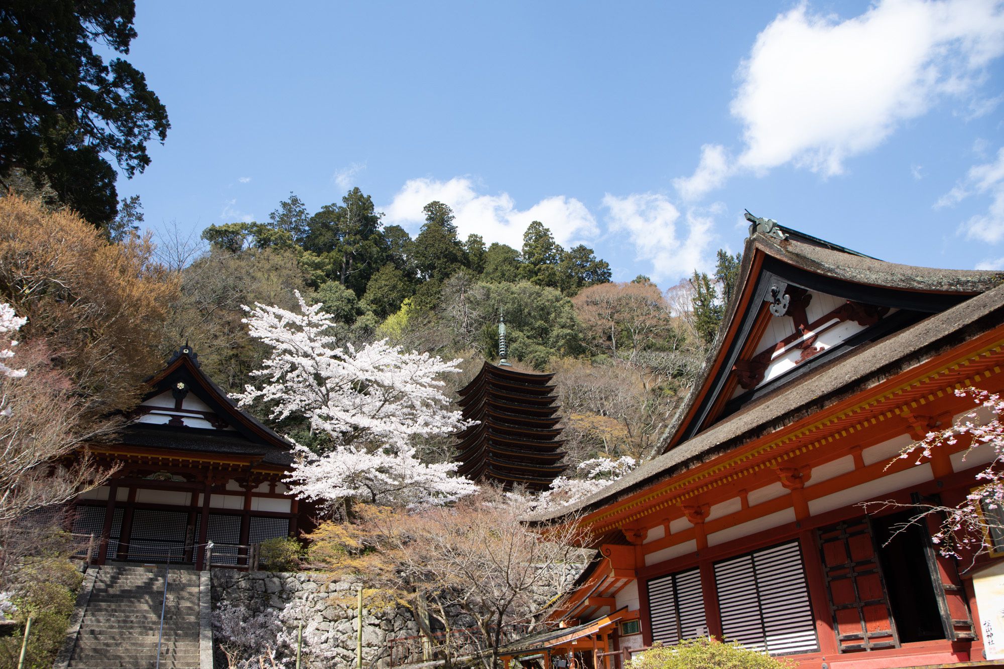 談山神社社殿。蹴鞠の庭から権殿（左）、十三重塔（中央）、神廟拝所（右）を見る。十三重塔は、世界最古の木造塔だという。