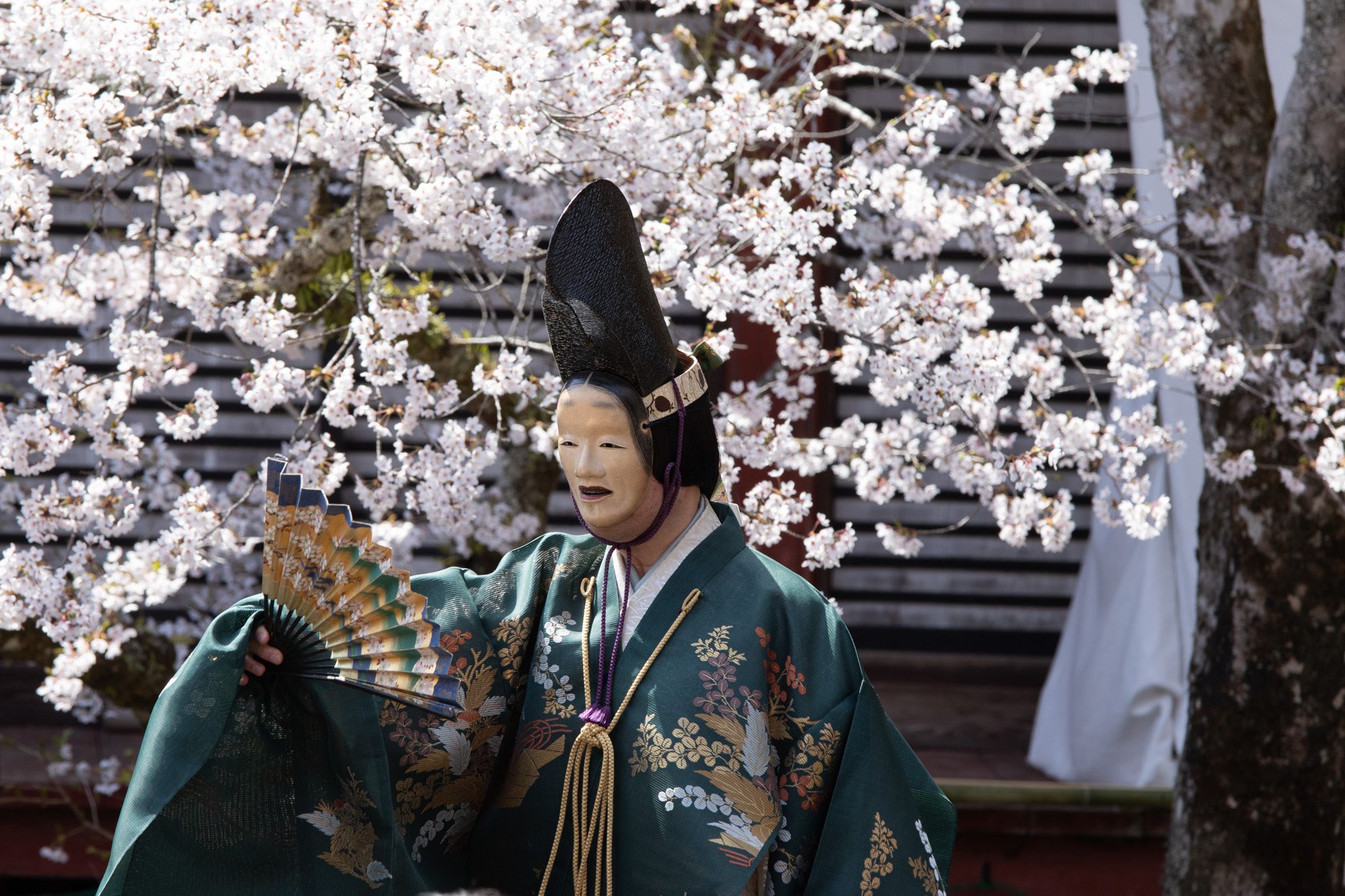 もう一番の能「百万」は奈良から京都・清凉寺まで旅をしてきた物狂いの女・百万が主人公。シテは片山九郎右衛門。