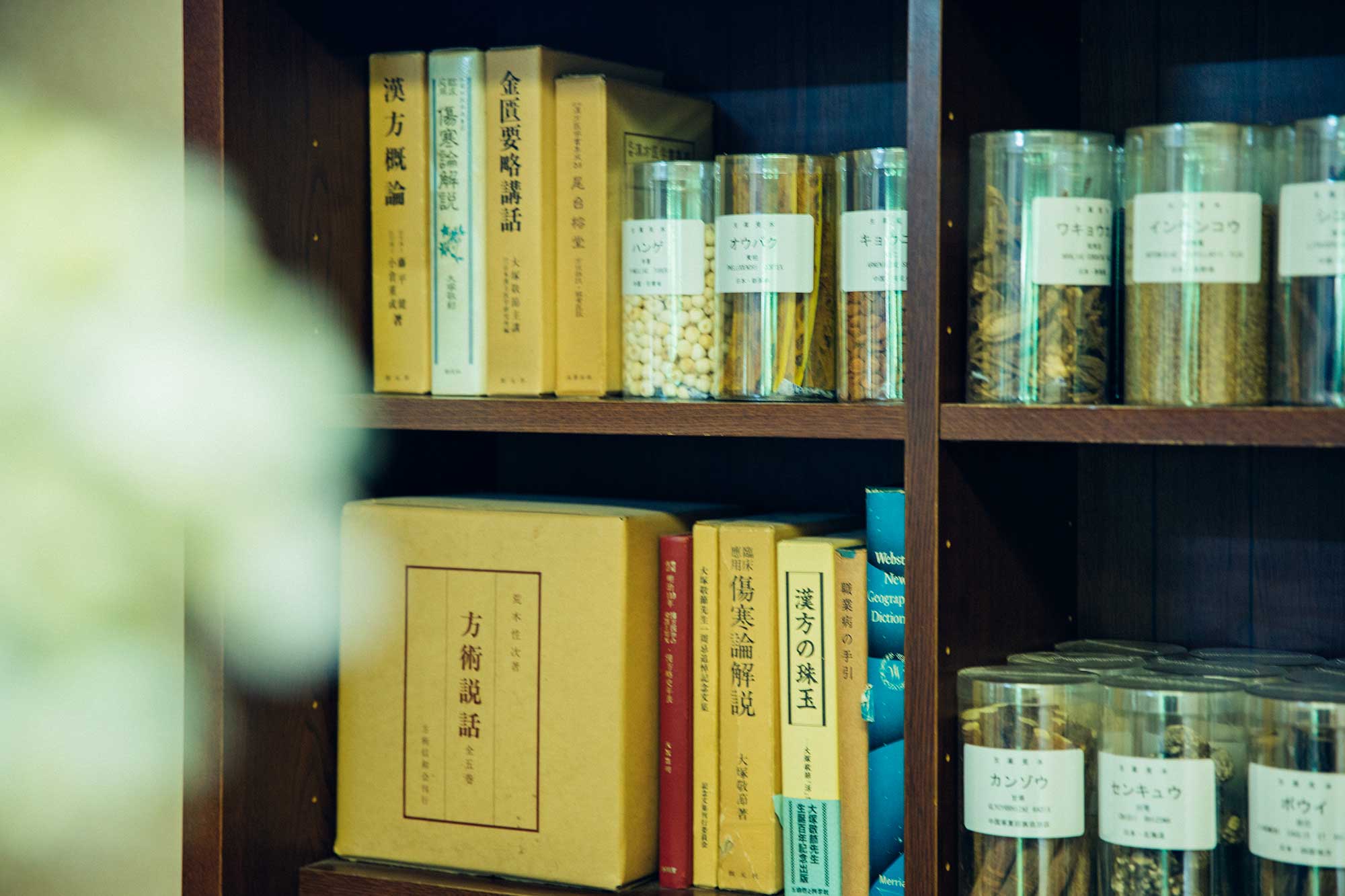 A shelf with medicine and books