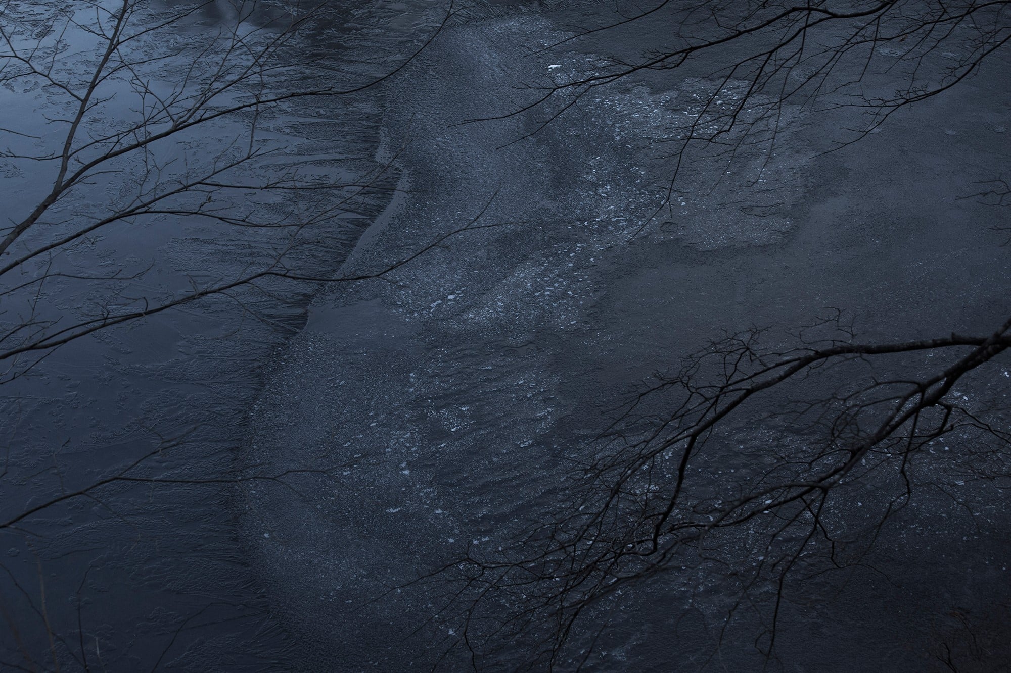 近くの池に氷が張ってきた。季節の気配には些細なことで気づく。