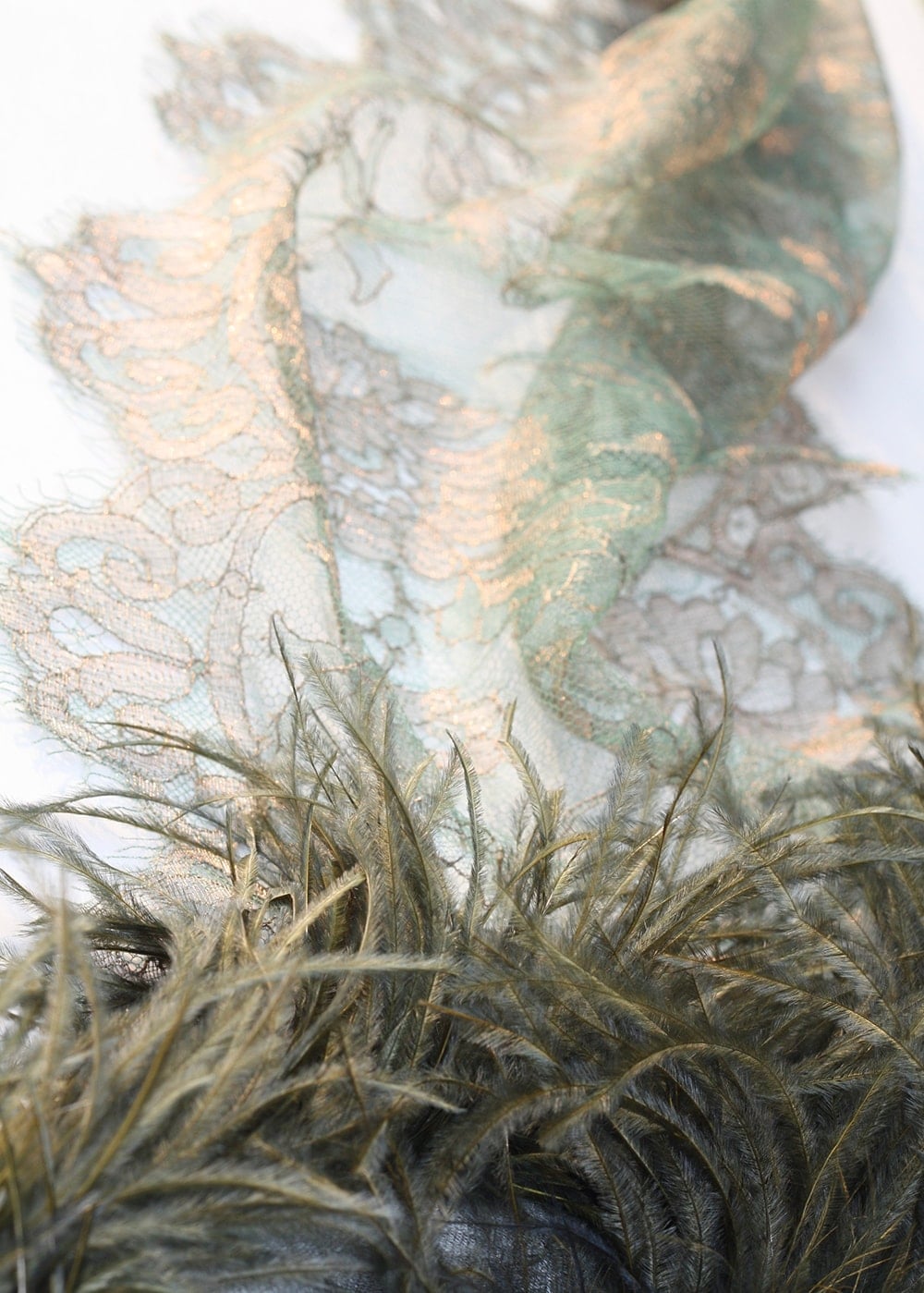 蕾絲兩端裝飾了鴕鳥羽毛的華麗絲巾。