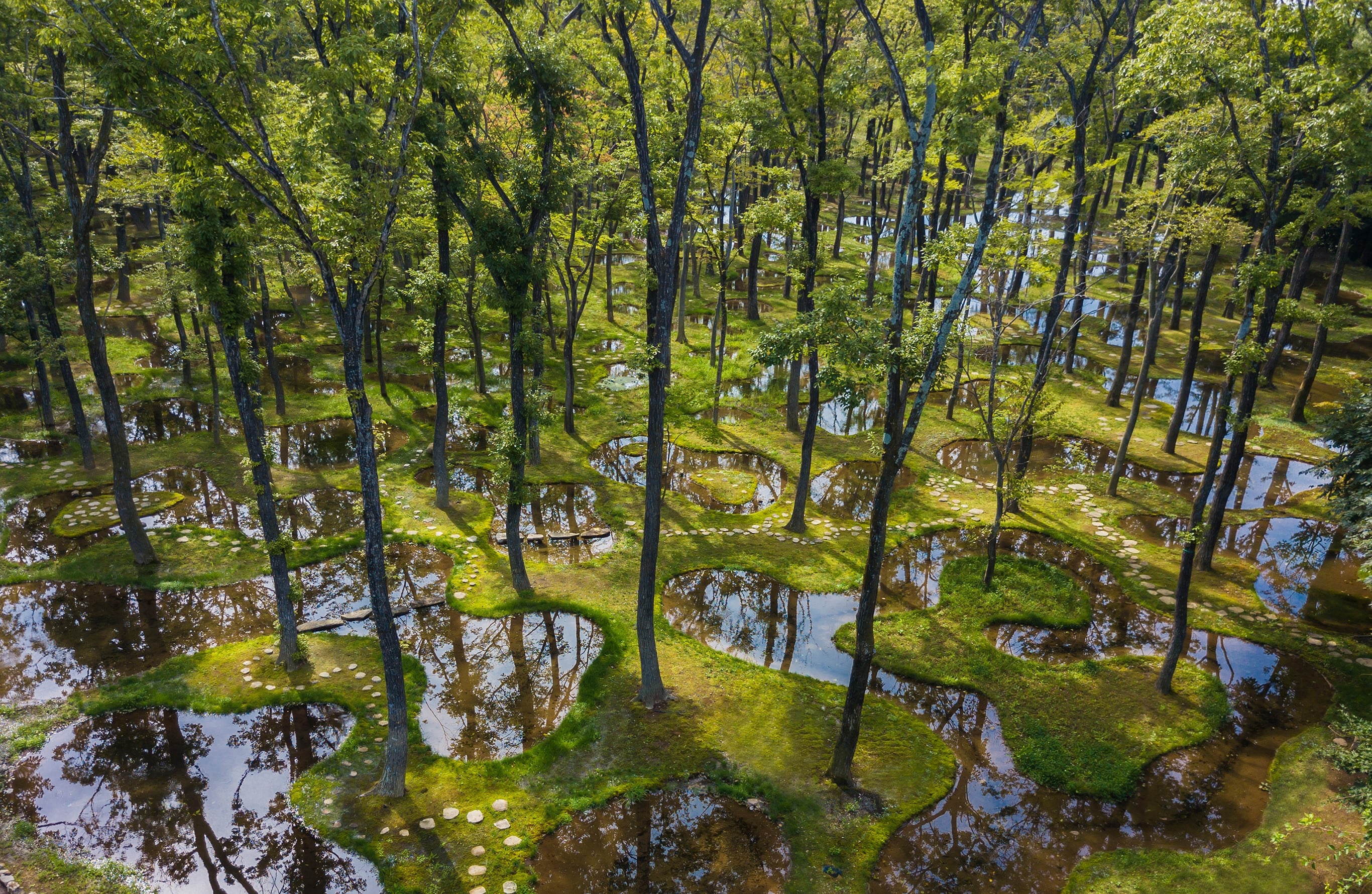 建築家石上純也のデザインによるボタニカルガーデン アートビオトープ「水庭」