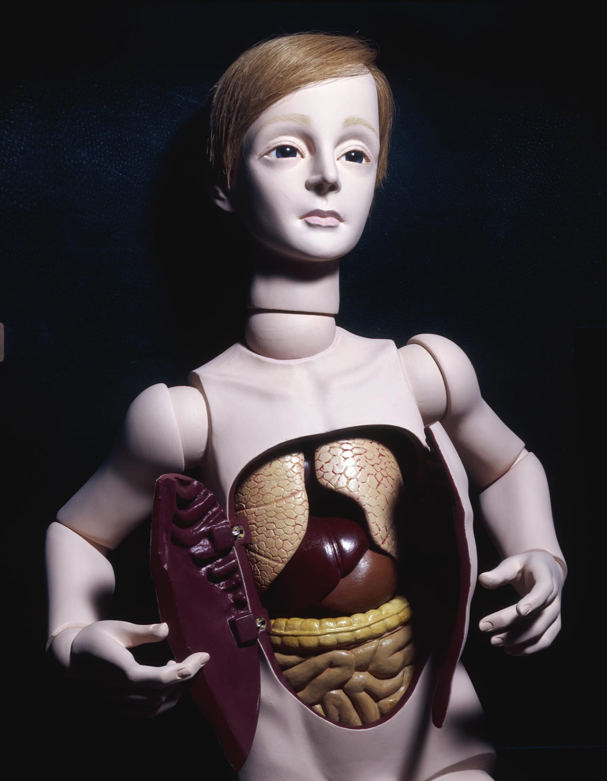 四谷シモン《解剖学の少年》1983年 大きく広げた腹部とうるんだ目のコントラストが印象的だ。