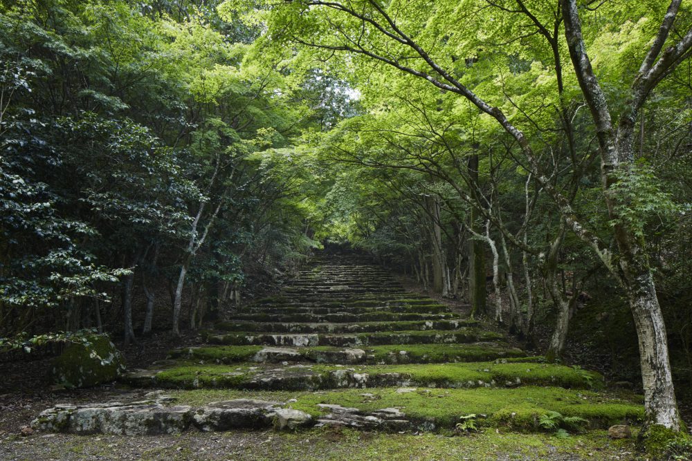神社仏閣の参道を思わせる石段。この最上部には石組みの円形広場がある。