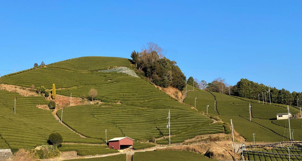 These tea fields are photogenic masterpieces. It is “Tea Plantations in Ishitera” that comes into view at any time.
